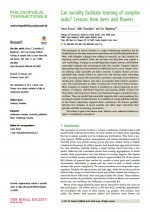 Can sociality facilitate learning of complex tasks? Lessons from bees and flowers