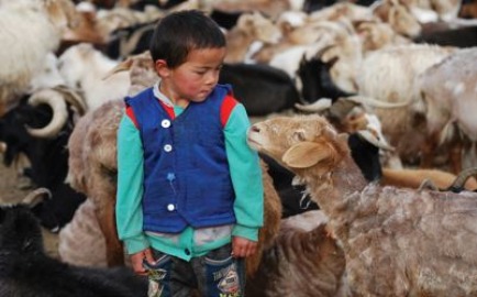 animals_conference_image.jpg conference