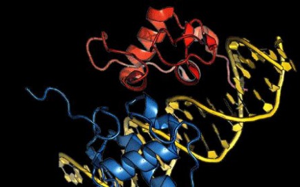 life sciences