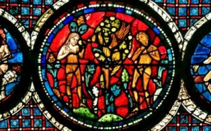 purity_workshop_2022.jpg poster