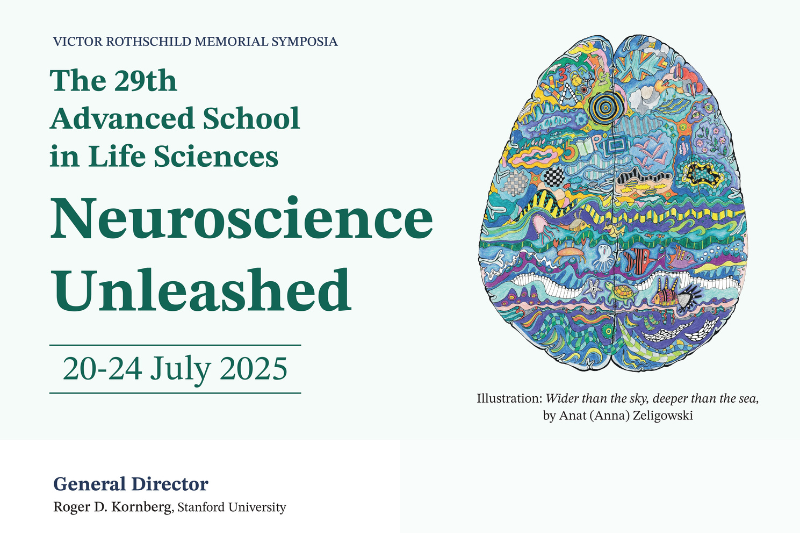 0654015065645456456456