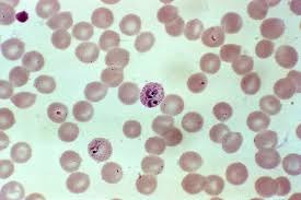 life_science_2008.jpg schools