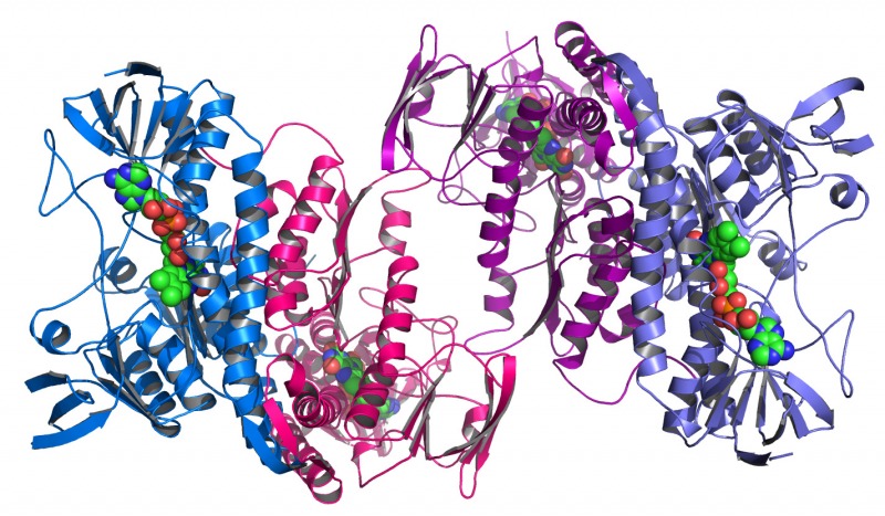 novel_proteins.jpg conference