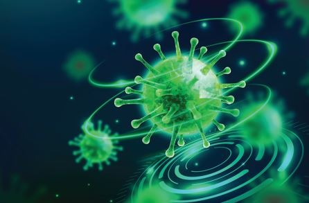 physics-38.jpg schools