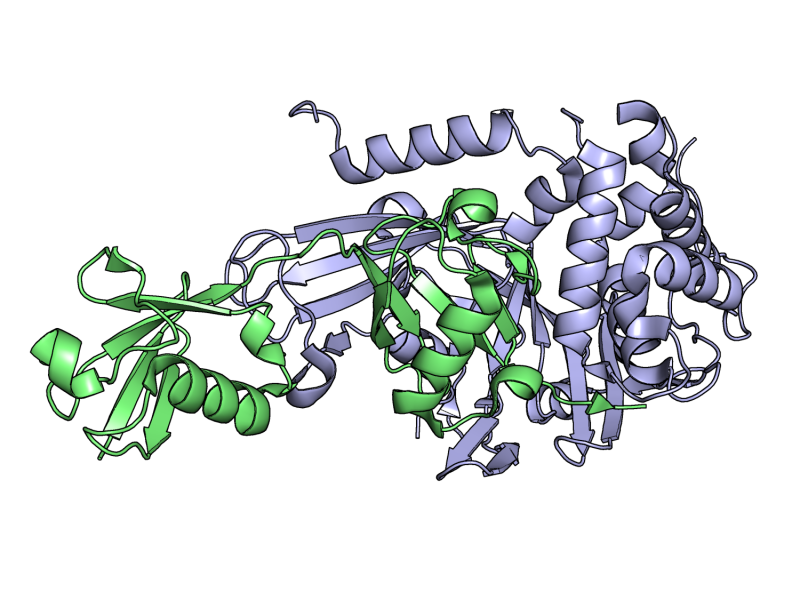 ubiquitin.png conference