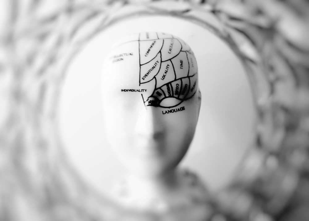 consciousness25