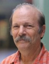 vardi